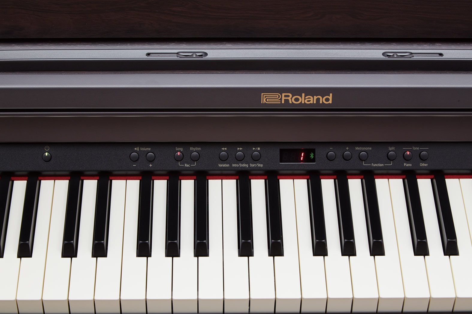 RP501R Digital Piano keys