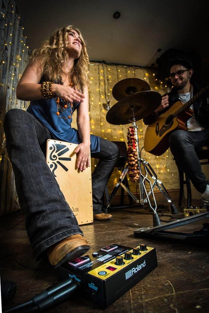 Roland ELCajon Mic Processor 5