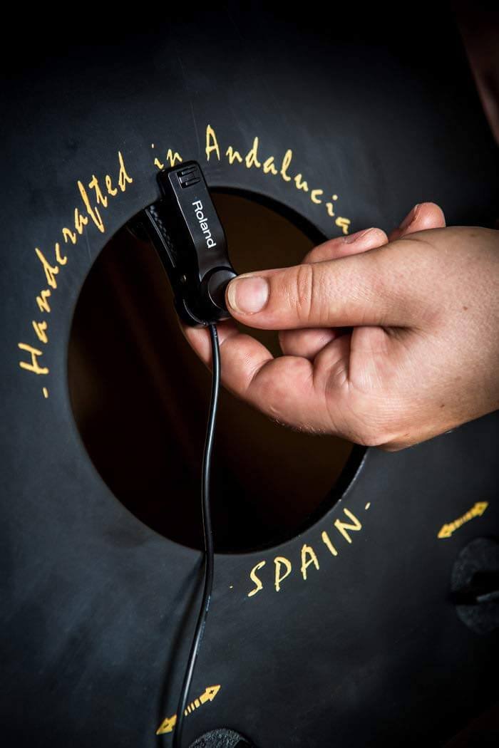 Roland ELCajon Mic Processor mic