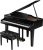 Roland GP-607 PEL Digital Grand Piano