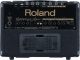 Roland KC-110 Keyboard Amplifier